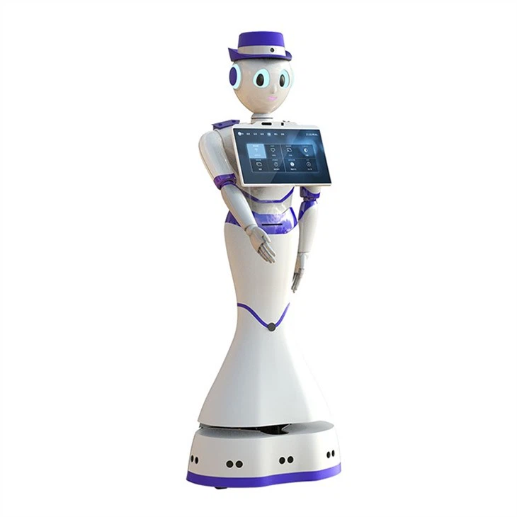 smart humanoid service robot suppliers
